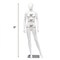 White 5.8 Feet Full Body Female Mannequin Egghead Manikin with Metal Stand